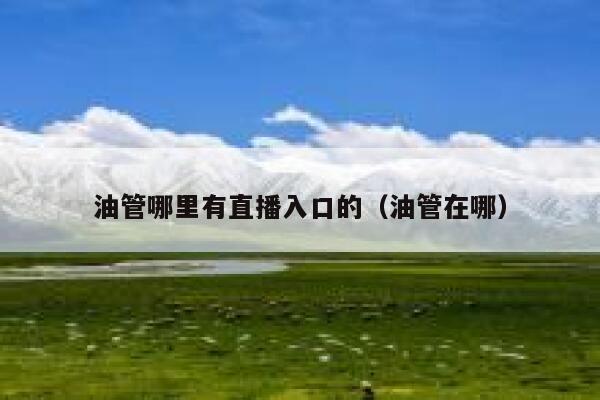 油管哪里有直播入口的（油管在哪） 第1张