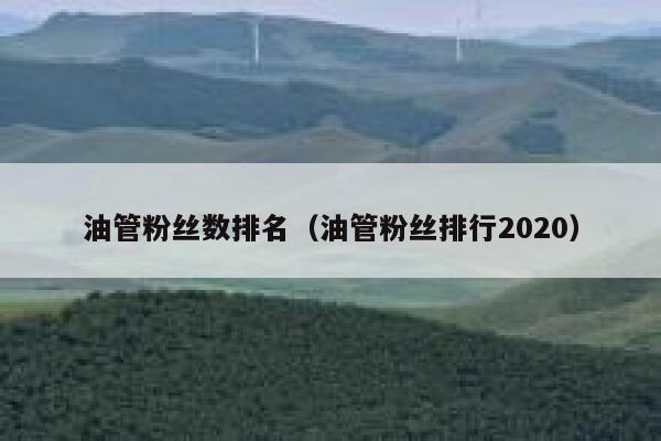 油管粉丝数排名（油管粉丝排行2020） 第1张
