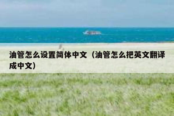 油管怎么设置简体中文（油管怎么把英文翻译成中文） 第1张