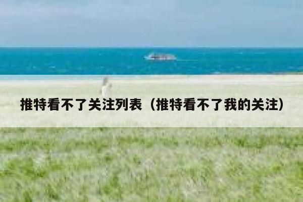 推特看不了关注列表（推特看不了我的关注） 第1张