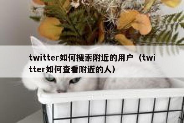 twitter如何搜索附近的用户（twitter如何查看附近的人） 第1张