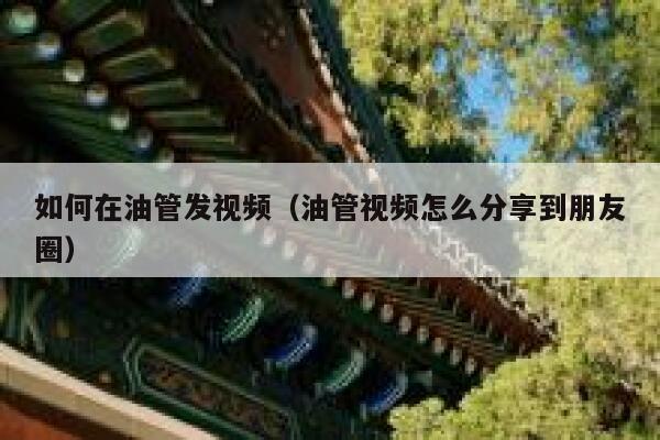 如何在油管发视频（油管视频怎么分享到朋友圈） 第1张