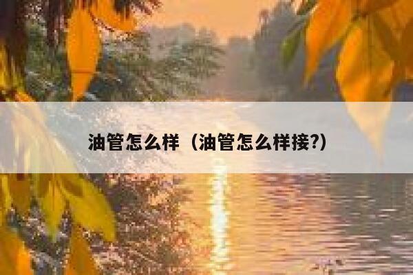 油管怎么样（油管怎么样接?） 第1张