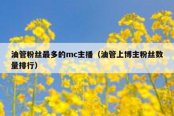 油管粉丝最多的mc主播(油管上博主粉丝数量排行) 第1张 油管粉丝最多的mc主播(油管上博主粉丝数量排行) 第1张