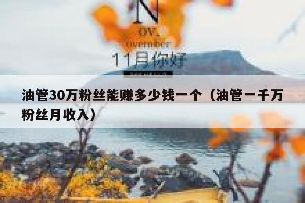 油管30万粉丝能赚多少钱一个（油管一千万粉丝月收入） 第1张