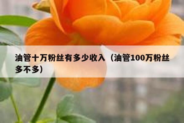 油管十万粉丝有多少收入(油管100万粉丝多不多) 第1张 油管十万粉丝有多少收入(油管100万粉丝多不多) 第1张