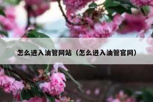 怎么进入油管网站(怎么进入油管官网) 第1张 怎么进入油管网站(怎么进入油管官网) 第1张