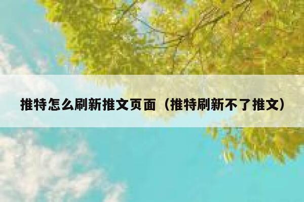 推特怎么刷新推文页面（推特刷新不了推文） 第1张