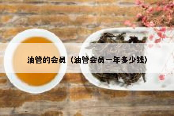 油管的会员（油管会员一年多少钱） 第1张