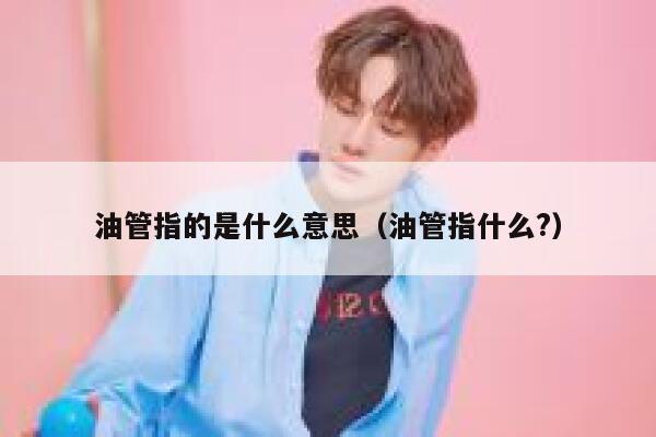 油管指的是什么意思(油管指什么?) 第1张 油管指的是什么意思(油管指什么?) 第1张