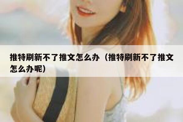 推特刷新不了推文怎么办（推特刷新不了推文怎么办呢） 第1张