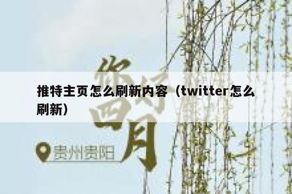 推特主页怎么刷新内容(twitter怎么刷新) 第1张 推特主页怎么刷新内容(twitter怎么刷新) 第1张