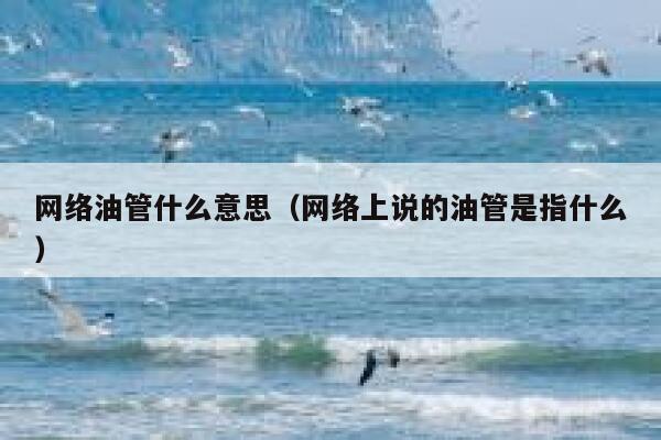 网络油管什么意思(网络上说的油管是指什么) 第1张 网络油管什么意思(网络上说的油管是指什么) 第1张