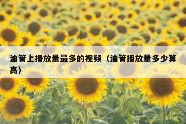 油管上播放量最多的视频（油管播放量多少算高） 第1张