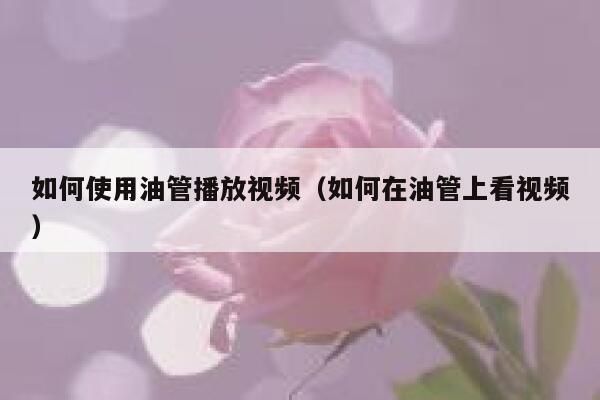 如何使用油管播放视频（如何在油管上看视频） 第1张