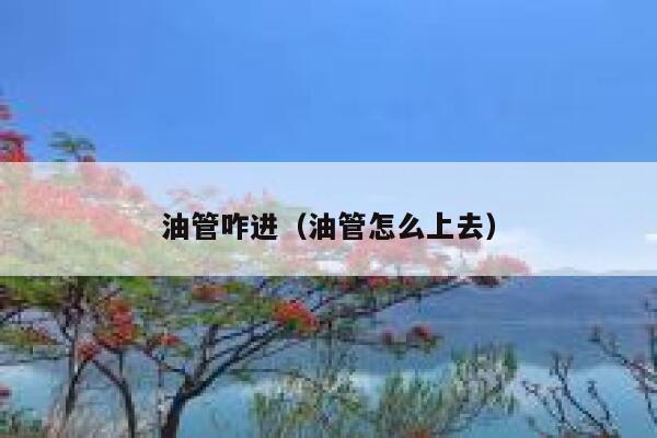 油管咋进(油管怎么上去) 第1张 油管咋进(油管怎么上去) 第1张