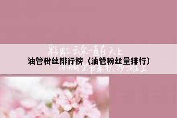 油管粉丝排行榜（油管粉丝量排行） 第1张