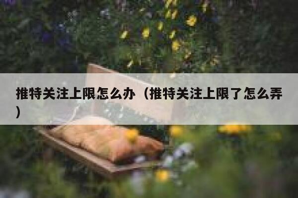 推特关注上限怎么办（推特关注上限了怎么弄） 第1张