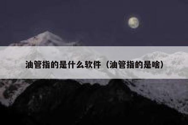 油管指的是什么软件（油管指的是啥） 第1张