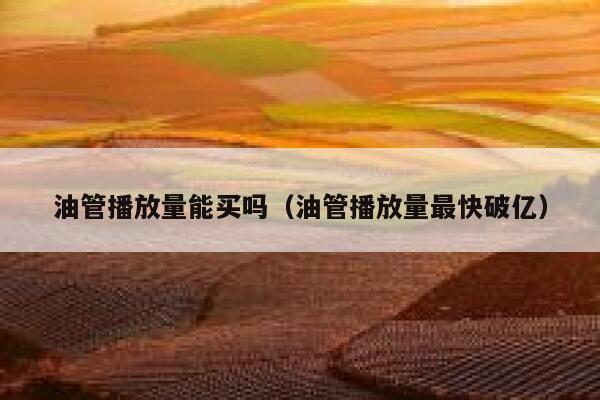 油管播放量能买吗（油管播放量最快破亿） 第1张