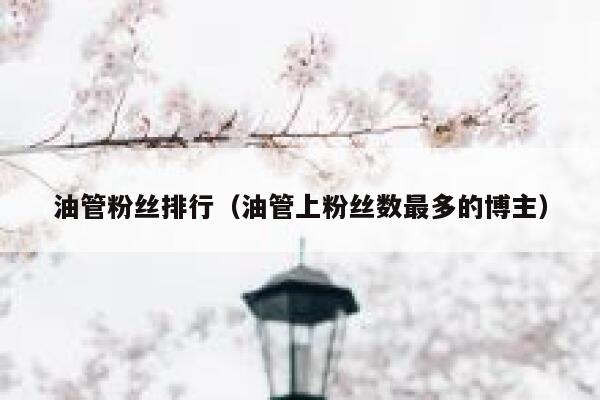 油管粉丝排行（油管上粉丝数最多的博主） 第1张