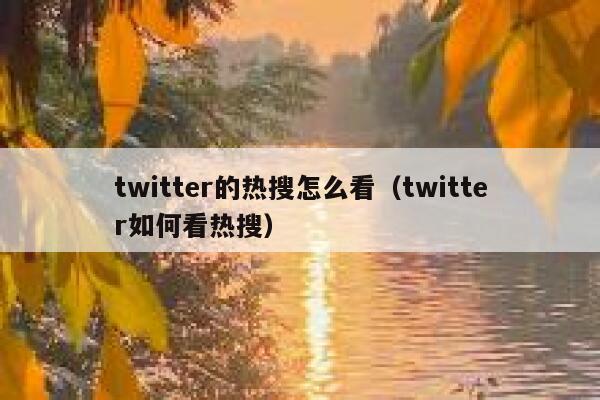 twitter的热搜怎么看（twitter如何看热搜） 第1张