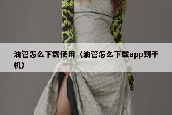 油管怎么下载使用（油管怎么下载app到手机） 第1张