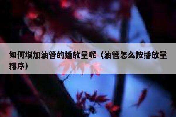 如何增加油管的播放量呢（油管怎么按播放量排序） 第1张