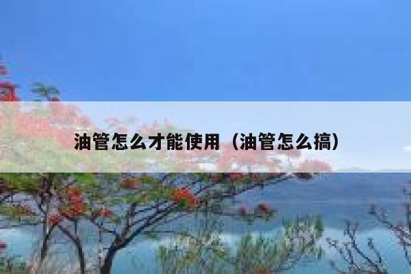 油管怎么才能使用(油管怎么搞) 第1张 油管怎么才能使用(油管怎么搞) 第1张