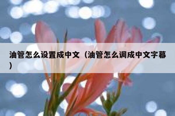 油管怎么设置成中文（油管怎么调成中文字幕） 第1张