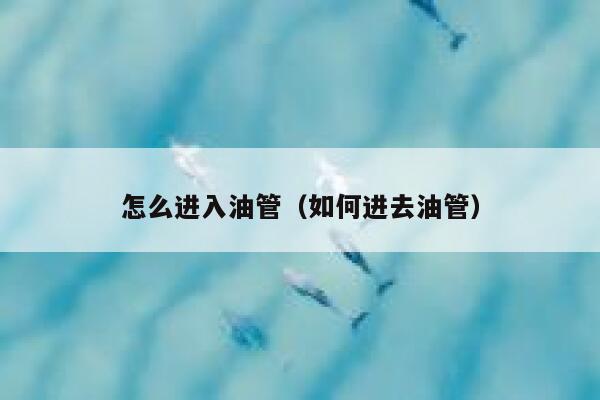 怎么进入油管（如何进去油管） 第1张