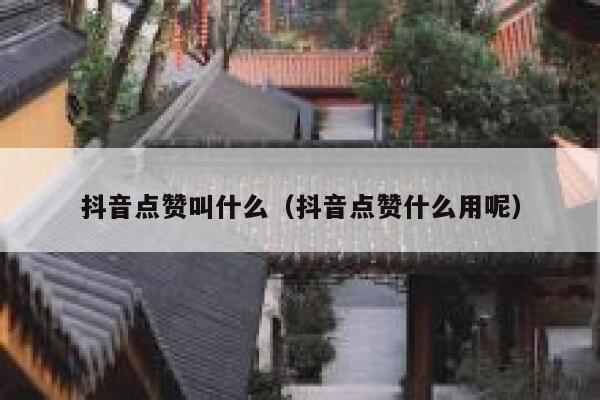 抖音点赞叫什么(抖音点赞什么用呢) 第1张 抖音点赞叫什么(抖音点赞什么用呢) 第1张