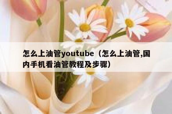 怎么上油管youtube（怎么上油管,国内手机看油管教程及步骤） 第1张
