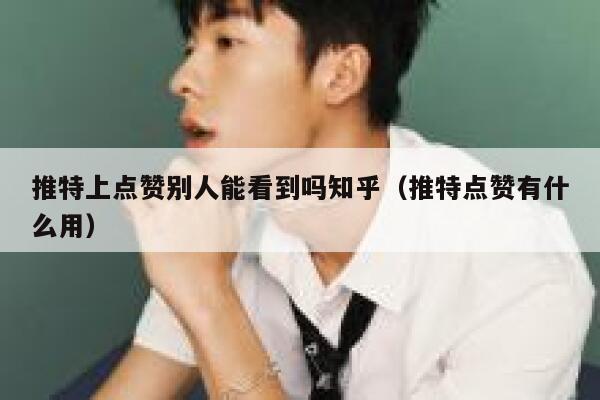 推特上点赞别人能看到吗知乎(推特点赞有什么用) 第1张 推特上点赞别人能看到吗知乎(推特点赞有什么用) 第1张