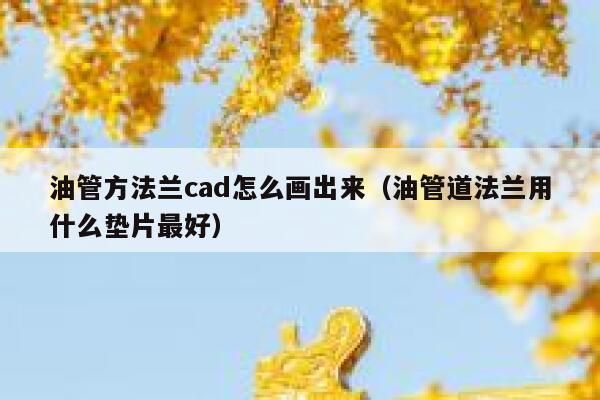 油管方法兰cad怎么画出来(油管道法兰用什么垫片最好) 第1张 油管方法兰cad怎么画出来(油管道法兰用什么垫片最好) 第1张