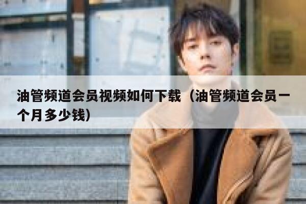 油管频道会员视频如何下载（油管频道会员一个月多少钱） 第1张