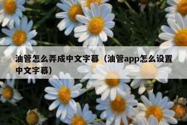 油管怎么弄成中文字幕(油管app怎么设置中文字幕) 第1张 油管怎么弄成中文字幕(油管app怎么设置中文字幕) 第1张