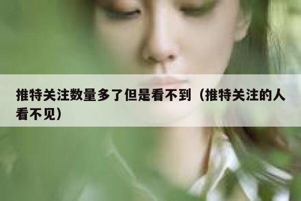 推特关注数量多了但是看不到(推特关注的人看不见) 第1张 推特关注数量多了但是看不到(推特关注的人看不见) 第1张