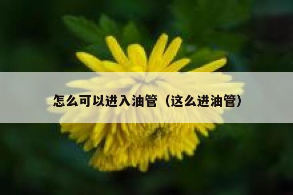 怎么可以进入油管(这么进油管) 第1张 怎么可以进入油管(这么进油管) 第1张