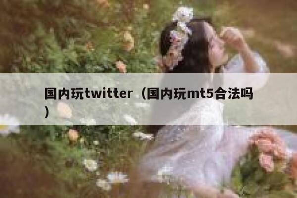 国内玩twitter(国内玩mt5合法吗) 第1张 国内玩twitter(国内玩mt5合法吗) 第1张