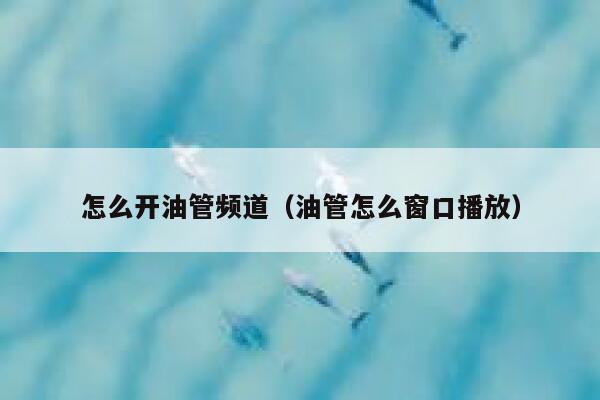 怎么开油管频道(油管怎么窗口播放) 第1张 怎么开油管频道(油管怎么窗口播放) 第1张