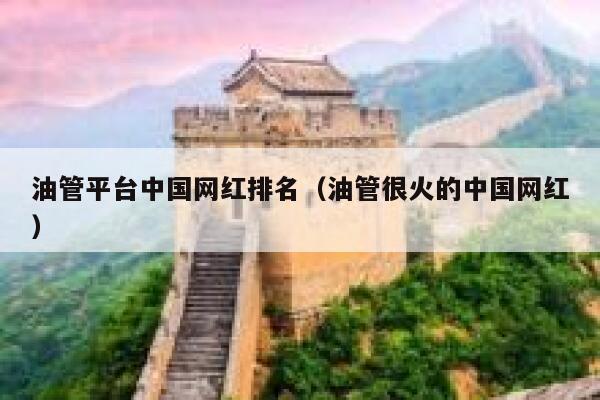 油管平台中国网红排名（油管很火的中国网红） 第1张