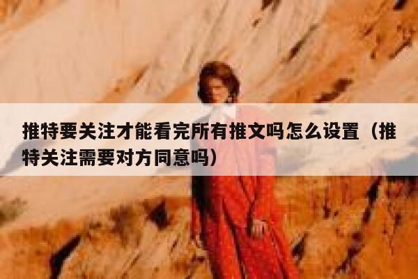 推特要关注才能看完所有推文吗怎么设置(推特关注需要对方同意吗) 第1张 推特要关注才能看完所有推文吗怎么设置(推特关注需要对方同意吗) 第1张