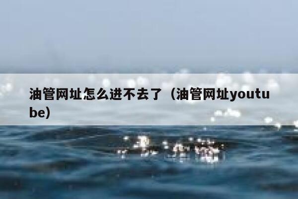 油管网址怎么进不去了（油管网址youtube） 第1张