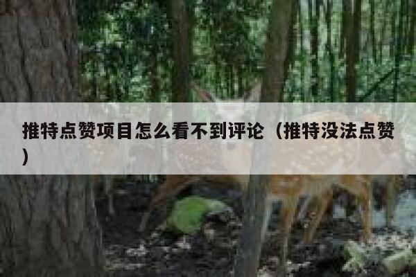 推特点赞项目怎么看不到评论(推特没法点赞) 第1张 推特点赞项目怎么看不到评论(推特没法点赞) 第1张