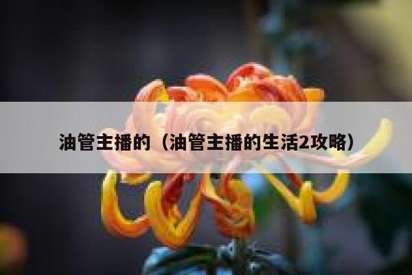 油管主播的（油管主播的生活2攻略） 第1张