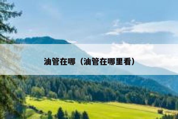 油管在哪（油管在哪里看） 第1张