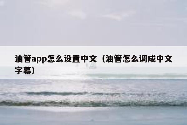 油管app怎么设置中文（油管怎么调成中文字幕） 第1张