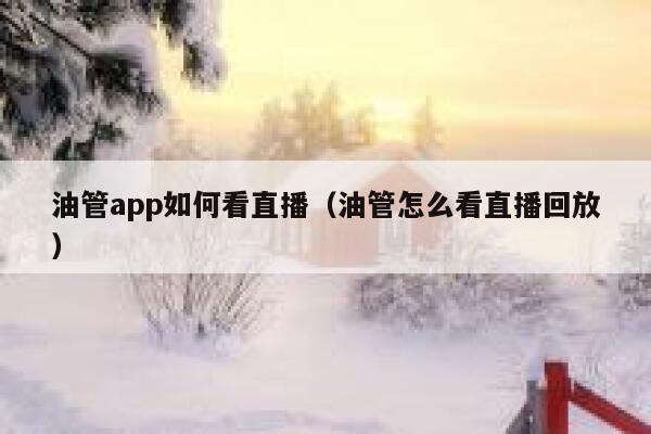 油管app如何看直播（油管怎么看直播回放） 第1张