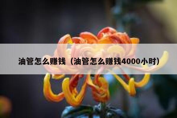 油管怎么赚钱（油管怎么赚钱4000小时） 第1张